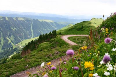 5-8月越野伊犁-我国醉美三大公路、草原花海、冰川雪山8日游