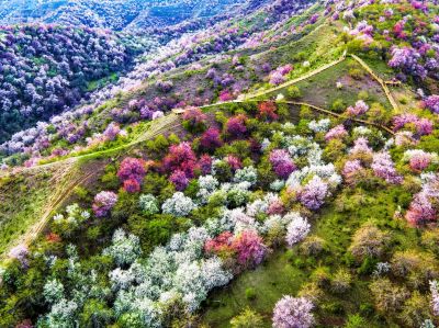 S101公路、赛里木湖、库尔德宁、吐尔根杏花谷、那拉提草原、独山子大峡谷7日游